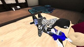 Fuka's Tryst #1 The Cheetah