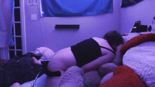 Kitty topping with spreader pub