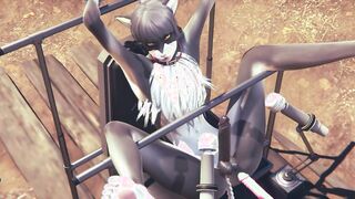 Hairy Three-Way Fox and two cats.mkv