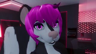 Skunk farts over 150 times for you