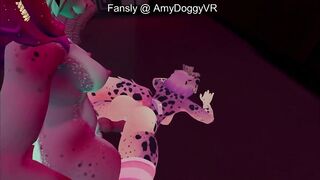 Wooly puppy female plays with kitten