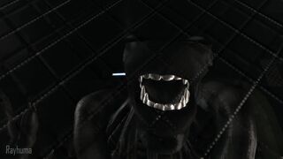 Point Of View xenomoprh