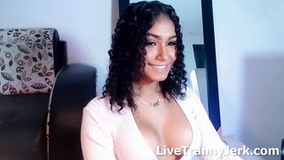 Brunette  Trans web cam