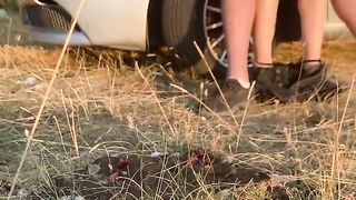 Sveltina in mezzo alla natura